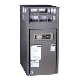 Raypak Spa Gas Heater