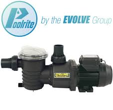 Poolrite Enduro pump